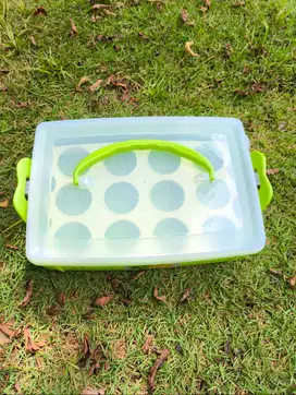 Tempat Telur Ayam Plastik Isi 12 Lubang Golden Sunkist Warna Hijau
