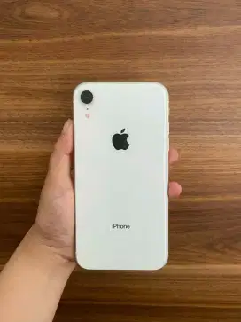 iPhone XR 256GB Nominus