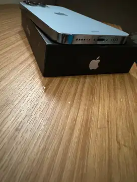 iPhone 13 Pro Max 256gb iBox Resmi
