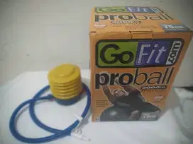 Bola Yoga Gofit Proball Diameter 75cm