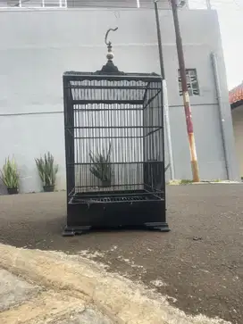 sangkar burung kosan