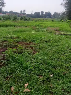 Tanah Puspitek BSD SHM