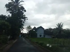 Bagus View Hamparan Sawah Tanah Murah Mangku Jalan Aspal di Sleman