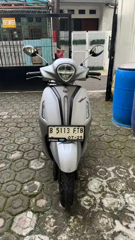 Yamaha grand filano 2024