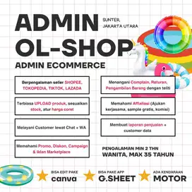 ADMIN ONLINE SHOP (YANG SUDAH BERPENGALAMAN)
