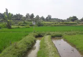Tanah HGB di Parung Panjang. Luas cocok utk Perumahan Non Subsidi