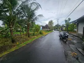 Tanah Jalan Utama Kaba-Kaba Tabanan Bali
