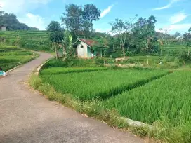 Tanah sawah 37 tumbak, msk mobil, Gudang tanjungsari