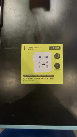 IT1 SMART WALL SOCKET P07