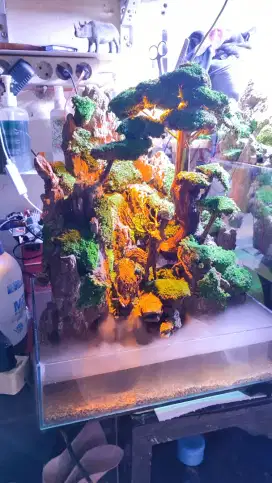 Paludarium Aquascape Fullset Aquarium Akuarium siap Kirim Baru
