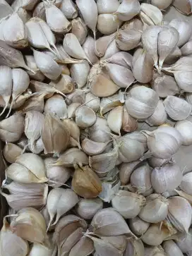 Lowongan kurir warung sayur