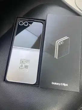 Samsung Z Flip 6 12/256gb Sein