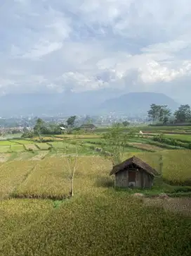 Jual tanah trawas pacet mojokerto