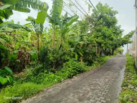 Tanah murah 550m2 strategis kesambi tembus muding kerobokan