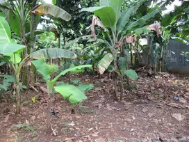 TANAH KOMERSIL CINANGKA RAYA DEKAT RS MITRA KELUARGA