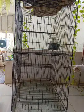 Kandang Bekas Kucing