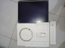 Ipad Pro (12,9) 32 GB Wifi Only