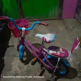 Jual sepeda lipat merk TREX & sepeda anak merk chamomile