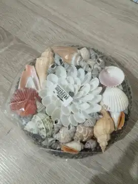 Kotak perhiasan dari kerang model bulat