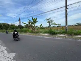 DEKAT PERUM PERTAMINA PURWOMARTANI: Tanah Jl Sambiroto Jogja