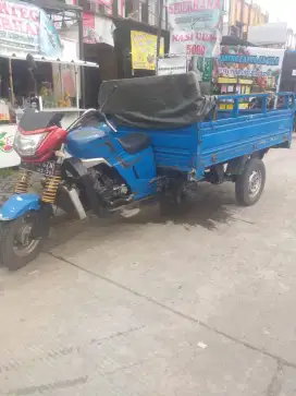 Viar 200cc Long bak