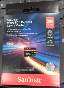 Sandisk microSD expres 256