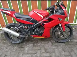 Minerva sport 2010