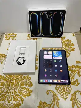 iPad Pro 13 inch M4 256GB Wifi Second Mulus Original