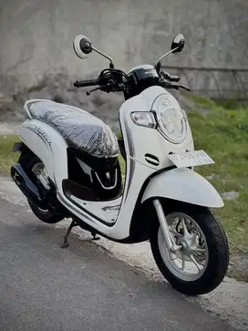SCOOPY STYLISH WARNA FAVORIT PAJAK ON PANJANG