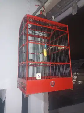 Kandang kotak no 1