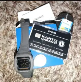Jam tangan casio w201
