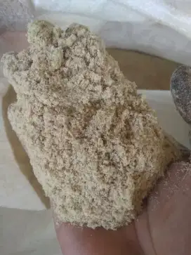 Pakan Alternatif Unggas Seperti Ayam Entog/bebek