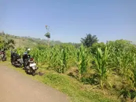 Jual tanah pingir jalan desa luas 70tmbk srt kikitir view bagus