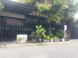 Rumah di tengah kota jalan Manyar adi per meter cuma 9 juta -an