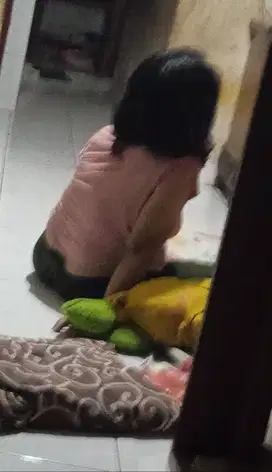 Art dan jaga toko
