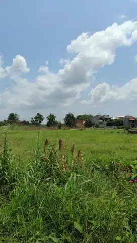 Dijual tanah di Solo strategis untuk perumahan / pertokoan / gudang
