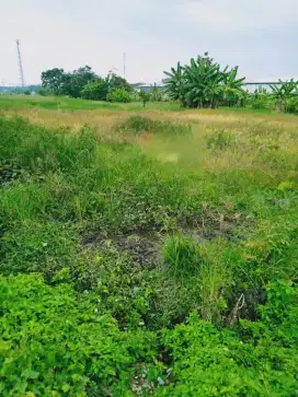 Dijual Tanah Pandaan Pasuruan cocok untuk Rumah Kos