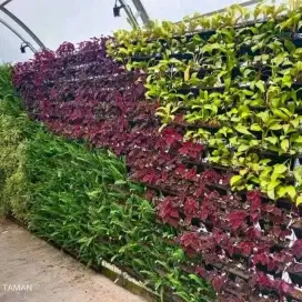 Jasa pembuatan taman Vertical garden