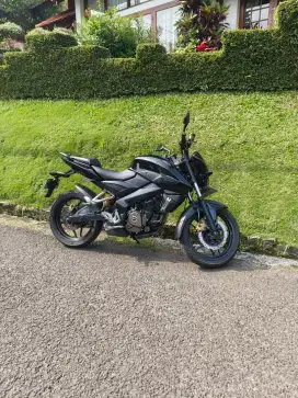 Kawasaki Pulsar 200ns