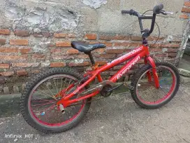 Sepeda Bmx Evergreen r