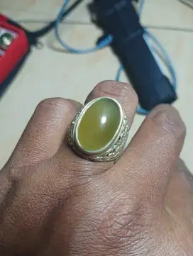 Idocrase bio solar