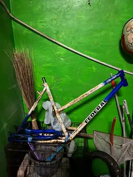 Frame federal lady