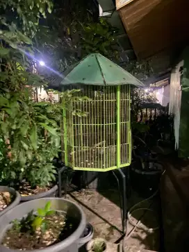 Bismillah, dijual kandang / sangkar burung besar / unggas