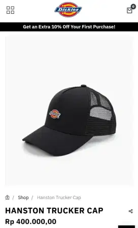 Dickies hanston trucker cap