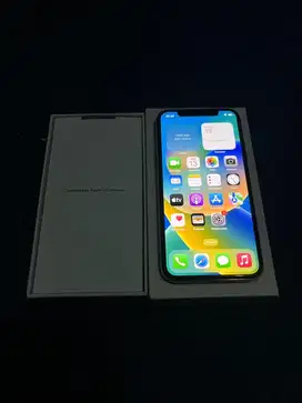 Iphone X 256 GB
