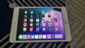 Jual Ipad Mini 5 64GB Wifi