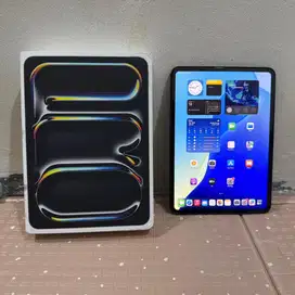 Ipad Pro M4 11 inch 255 GB Wifi Black