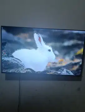 Smart tv TCL 43 inch