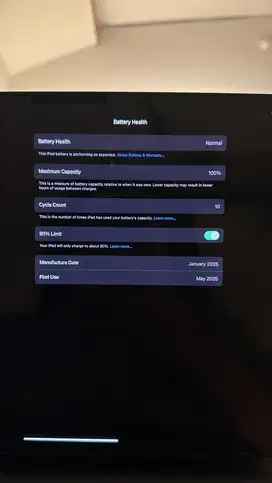 Ipad Pro M4 13inch 256GB