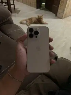 Iphone 13 pro 256gb